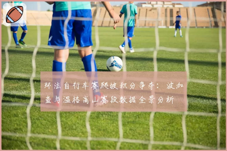 环法自行车赛爬坡积分争夺:波加查与温格高山赛段数据全景分析