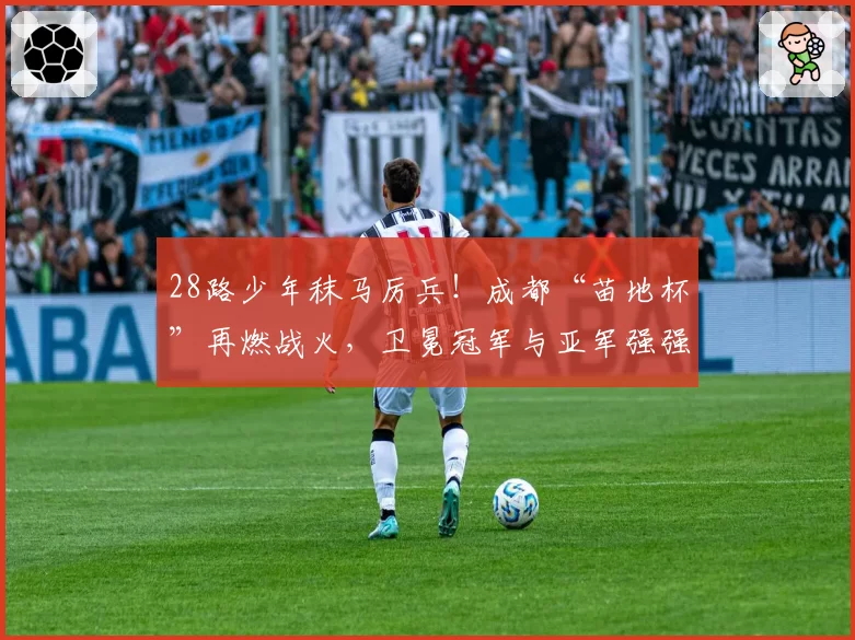 28路少年秣马厉兵！成都“苗地杯”再燃战火，卫冕冠军与亚军强强回归