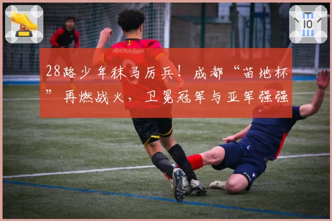 28路少年秣马厉兵！成都“苗地杯”再燃战火，卫冕冠军与亚军强强回归