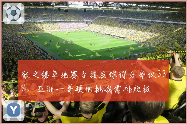 张之臻草地赛季接发球得分率仅33%，亚洲一哥硬地挑战需补短板